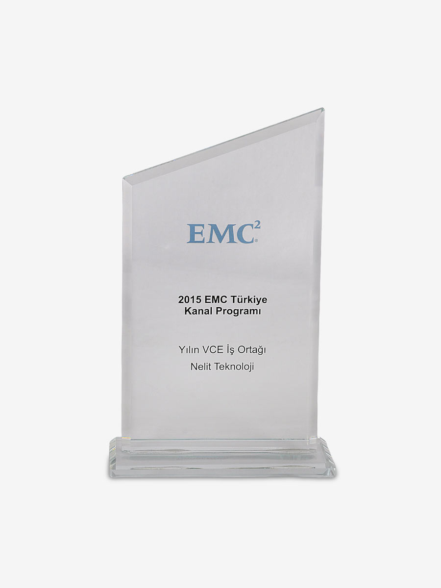 EMC Türkiye Kanal Programı — Yılın VCE İş Ortağı